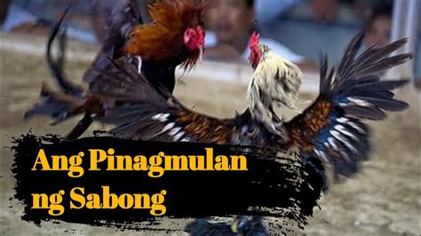 sabong kahulugan|ANG PINAGMULAN NG SABONG .
